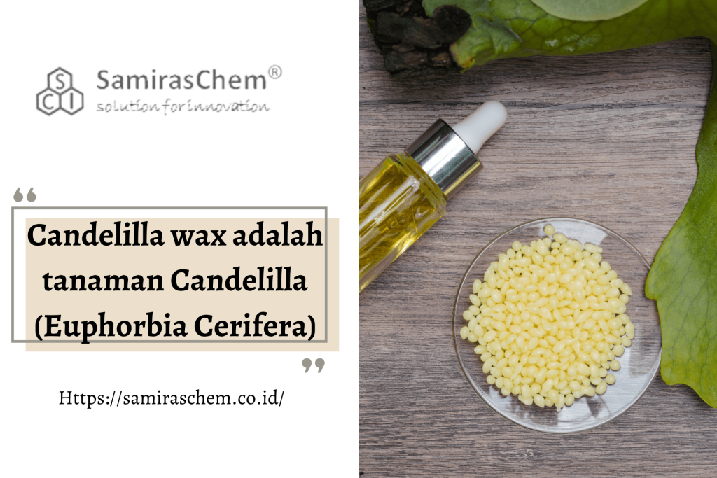 Candelilla Wax adalah