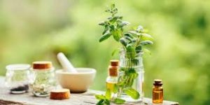 Manfaat Peppermint Oil