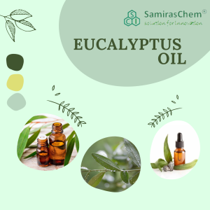 Apa itu Eucalyptus Oil