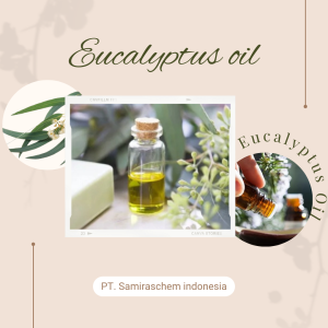 Distributor Eucalyptus Oil Terlengkap