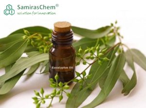 Eucalyptus Oil adalah 