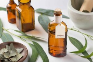 Stoikhiometri Eucalyptus Oil