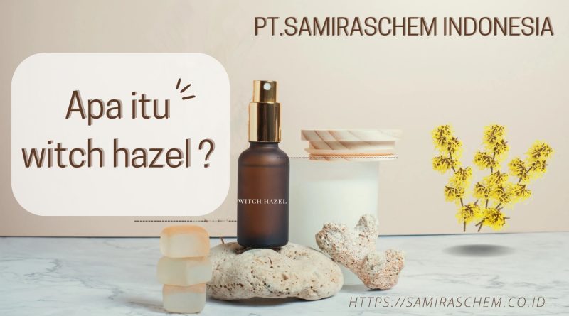 Apa itu Witch Hazel