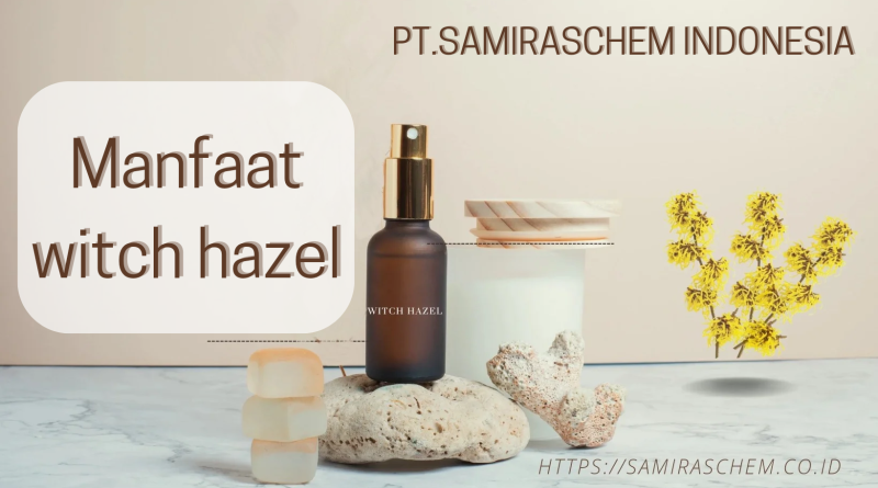 Manfaat Witch Hazel