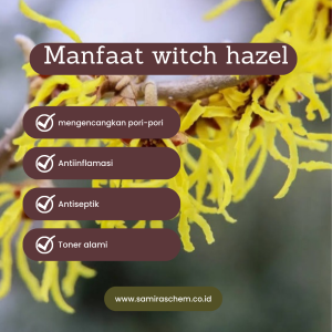 Manfaat Witch Hazel