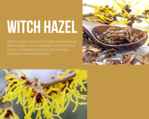 Struktur Kimia Witch Hazel