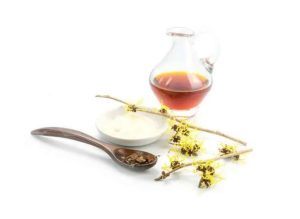 Supplier Witch Hazel terpercaya