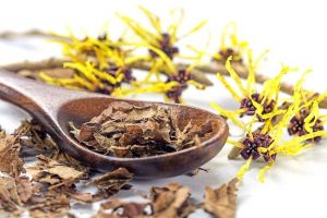 Witch Hazel adalah