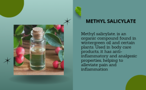 Methyl Salicylate adalah
