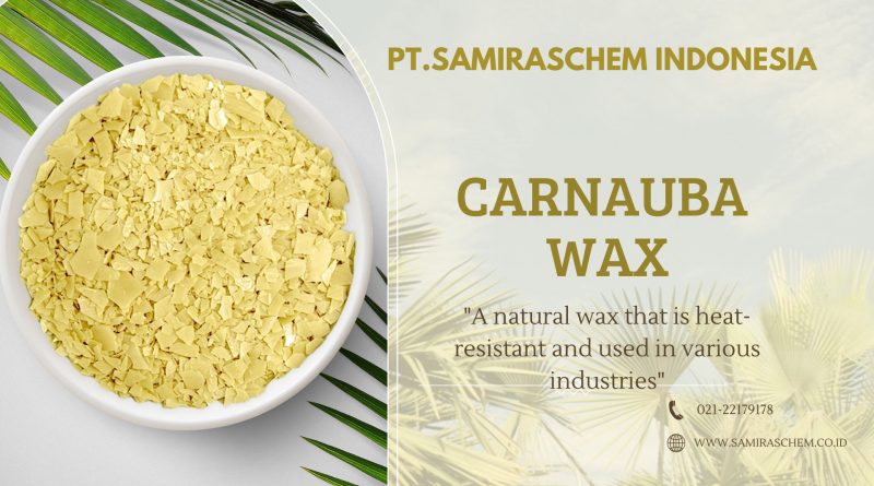 Struktur Atom Carnauba Wax