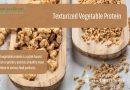Ikatan Kimia Texturized Vegetable Protein