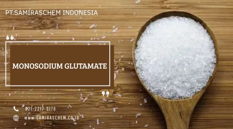 Monosodium Glutamate adalah