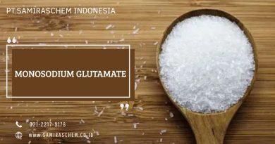 Proses Produksi Monosodium Glutamate